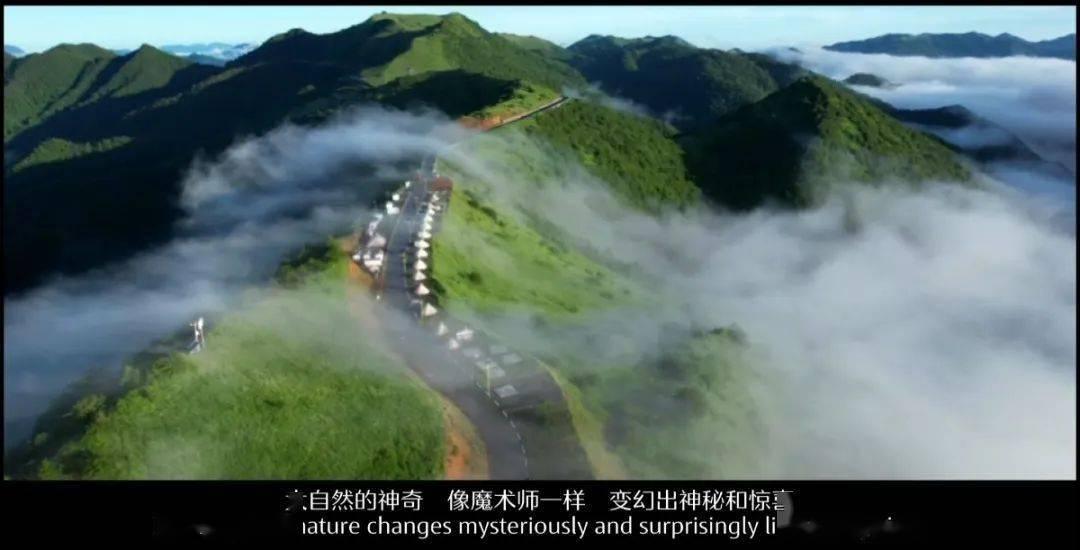 屠龙破晓